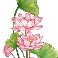 Cân mọi loại vai