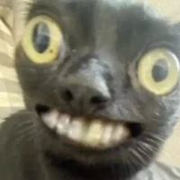 t/g( thik bé time nhất)