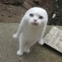 Thế Giới Chủ 【 Rules 】