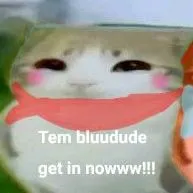 bluudud (Bluetooth)