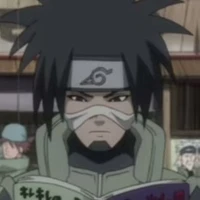 kotestu 