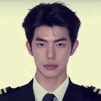 hải yến
