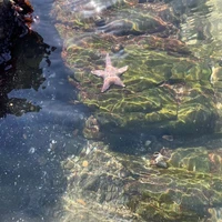 Tui nò mấy nàng ✨