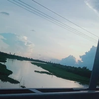 mấy đứa top