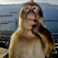 Tác giả ngáo ngơ