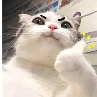 t/g thích mồn lèo