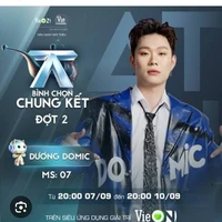 Dương Domic