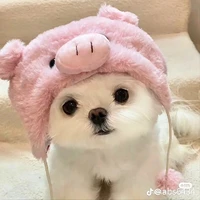 tác giả tuyệt vời