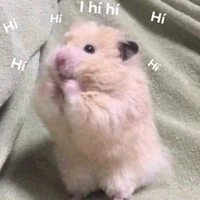 _Phú Skibidi. 💔_