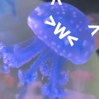 hệ thống cute><piepie