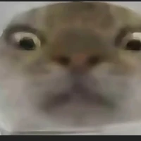 chủ chuyện tranh =)