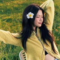 N. Lê Ngọc Ánh Sáng