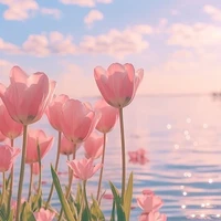 T/g 🌷💜