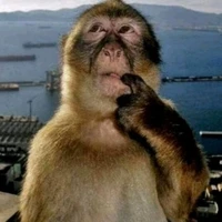 bố team thập cẩm