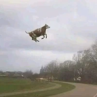 Học sinh (cả nam,nữ và gay + lé bian)