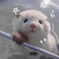 tiểu ú_hệ thông