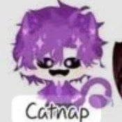 Catnap