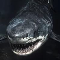 𝕥/𝕘 mê shark🦈