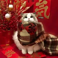 cân mọi loại vai