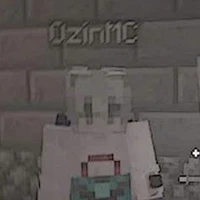 Ozin