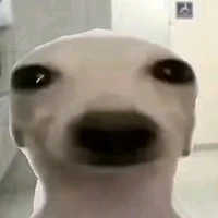 tất cả nhân vật phụ