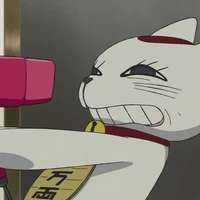 turbo bà bà