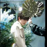 Trần Dịch Hằng |Omega|