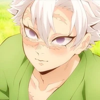 Shinazugawa Sanemi