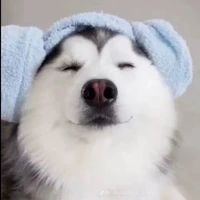 lala