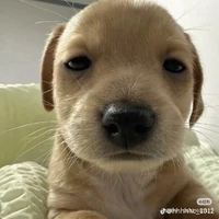 kiki