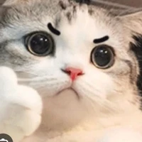 t/g ngu ngơ|t/g rất ngu ^^|