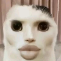 Tác giả (xinh gái)