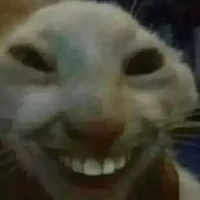 ai đó rất là bí ẩn