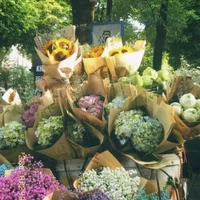 SunFlowers_Shop