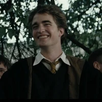 Cedric Diggory 