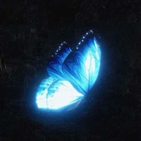 Hệ thống - Nguyệt Tâm