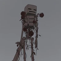 wither(skely đen)