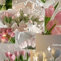 con tg vt ngôn mê đam