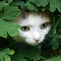 All《những người cần trừ》