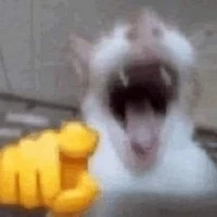 -----