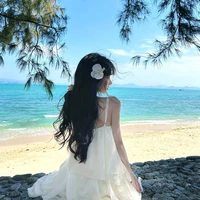 Nguyễn Minh Anh