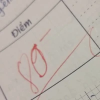 Tg bot nhất lịch sử