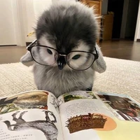 Cụt bận học bài