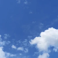 mọi ng -tùy theo chap