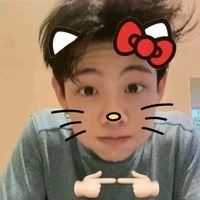 Lê Hồ Phước Thịnh
