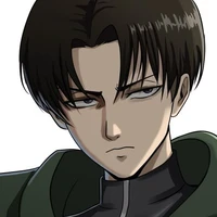 levi