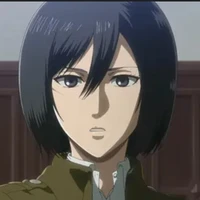 mikasa