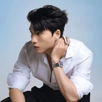 Trần Minh Hiếu(HieuThuHai)