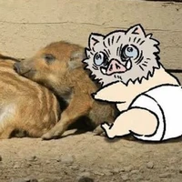 zyy