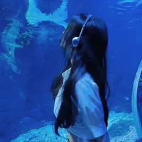 Lưu Ngọc Hà 